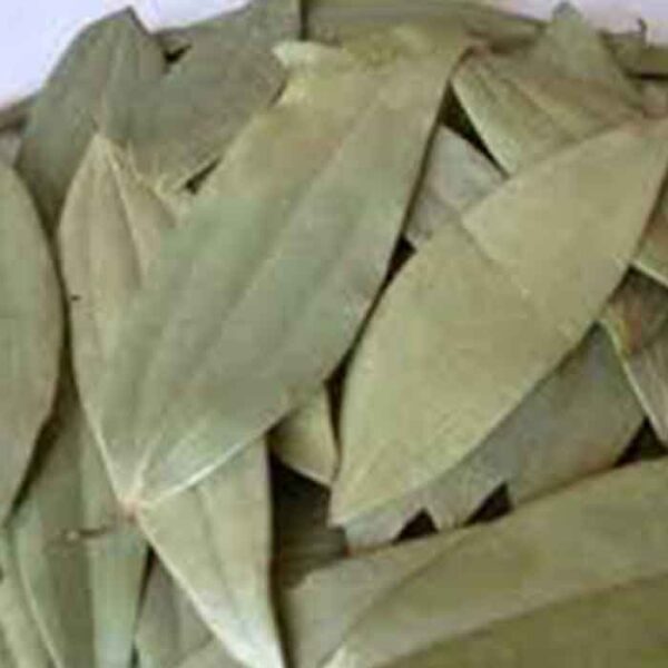 Bay Leaves